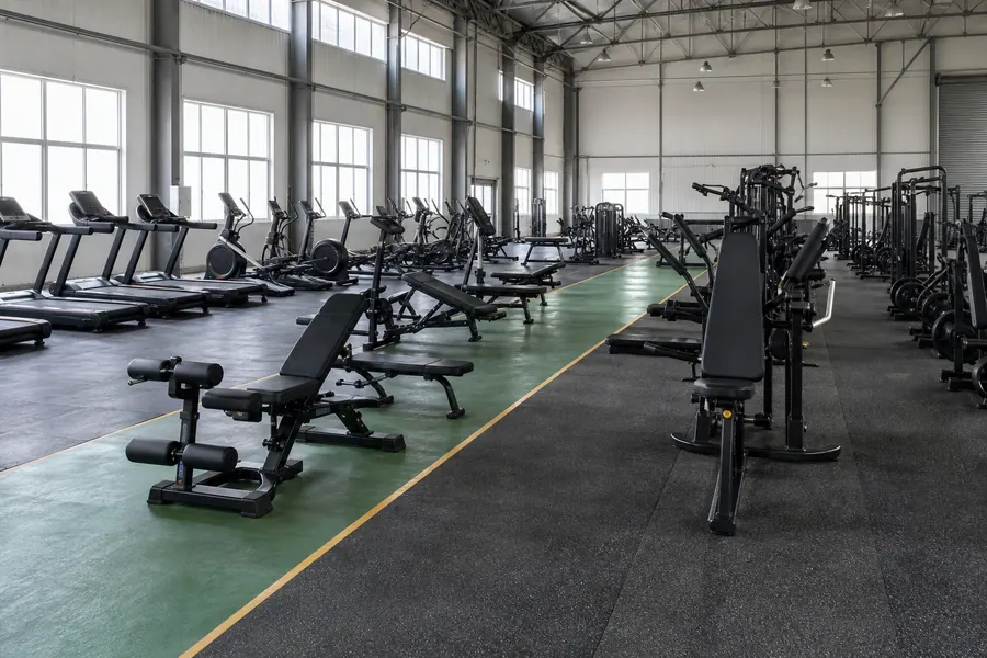 Commercial gym equipment order mix arranged by training zone in a factory sample area