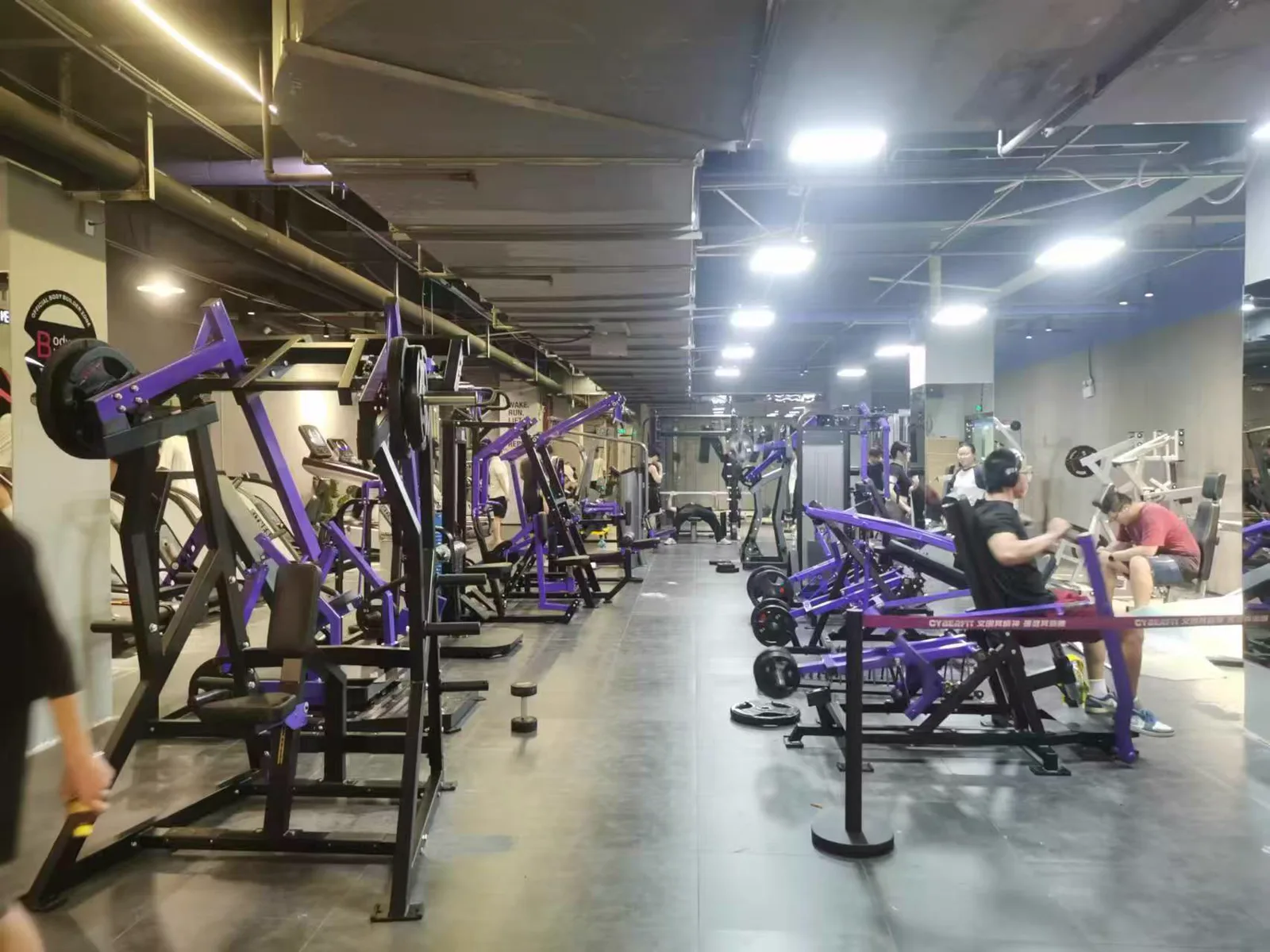 Distributor commercial gym equipment project in United States