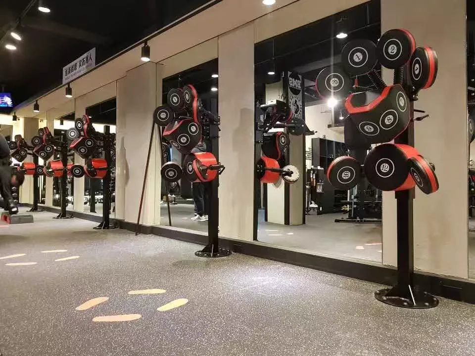 Studio Owner commercial gym equipment project in United States