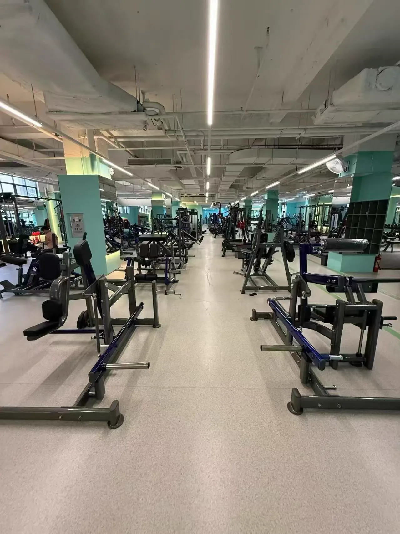 Importer commercial gym equipment project in Canada