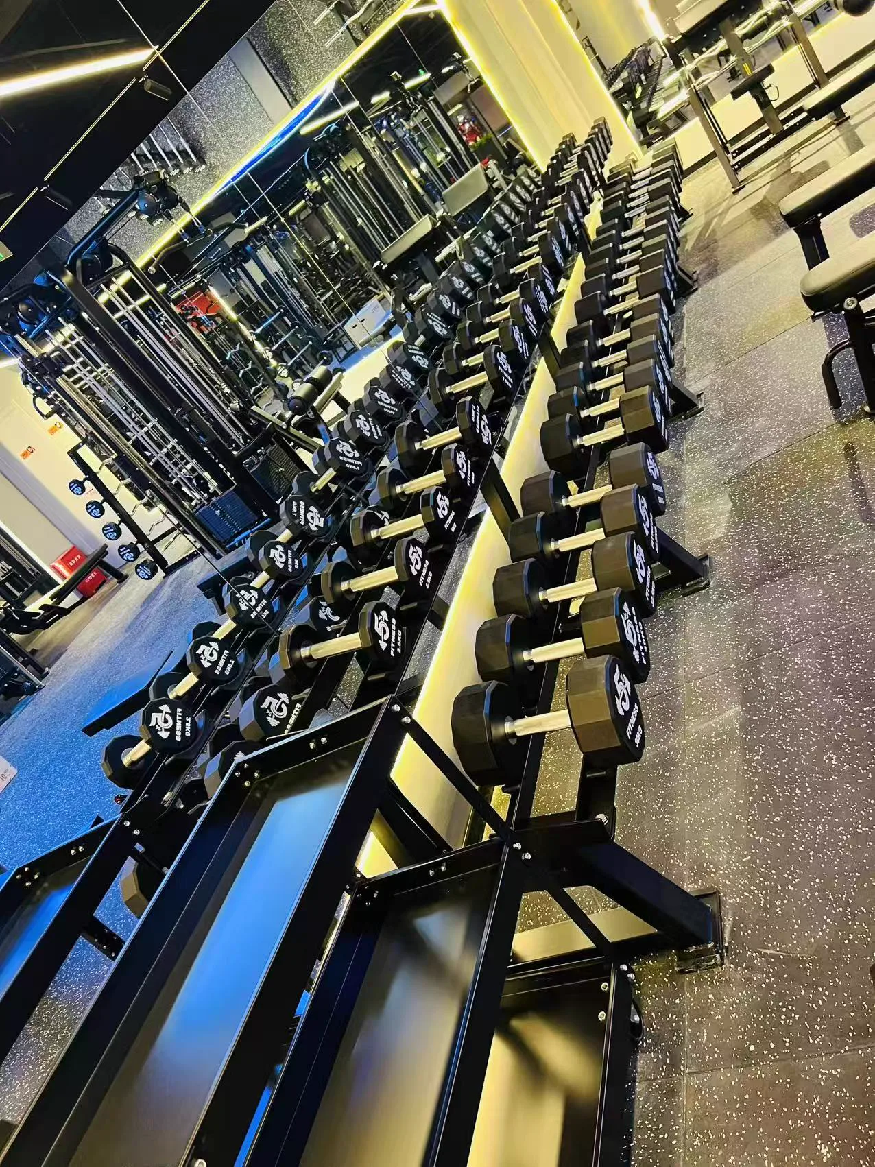 School Project commercial gym equipment project in United Kingdom