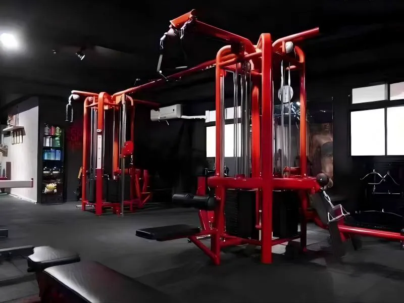 Gym Chain commercial gym equipment project in Germany