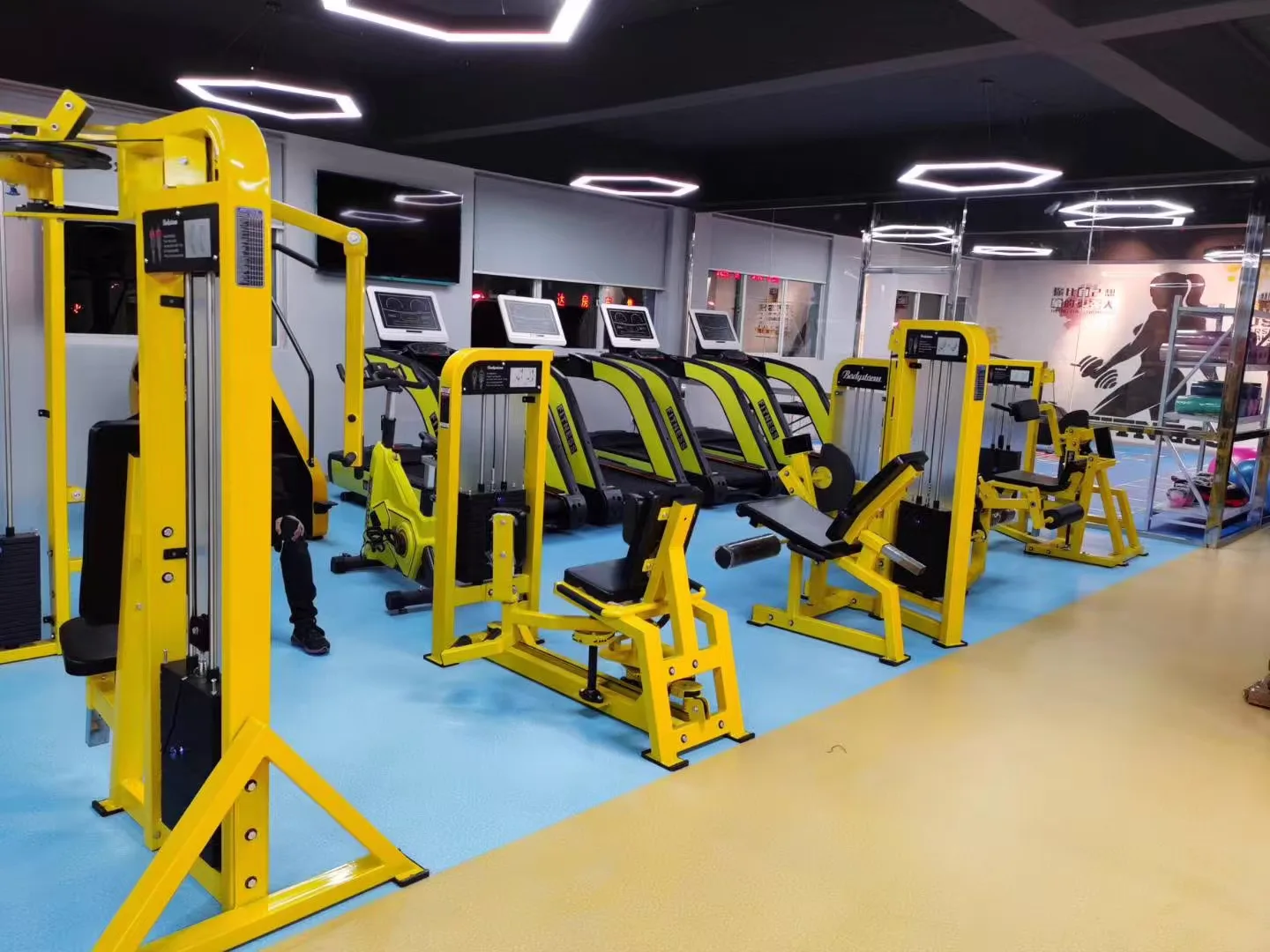 Distributor commercial gym equipment project in Netherlands