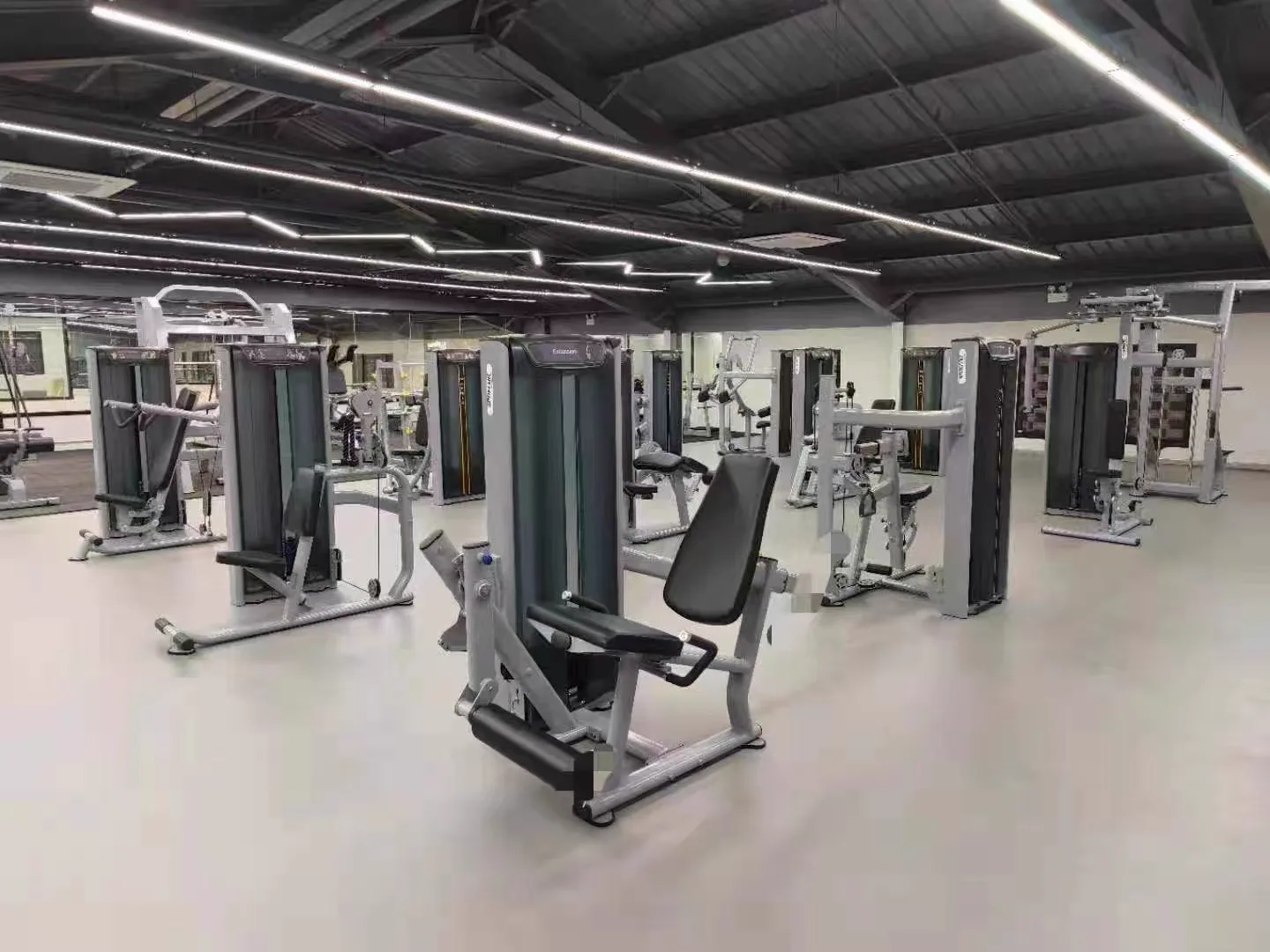 Studio Owner commercial gym equipment project in Italy