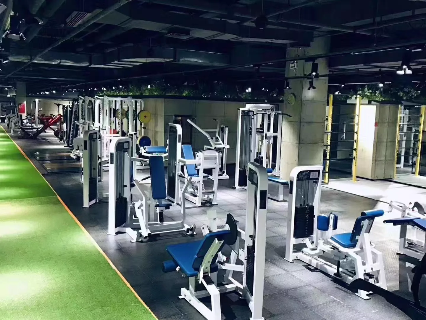School commercial gym equipment project in Australia