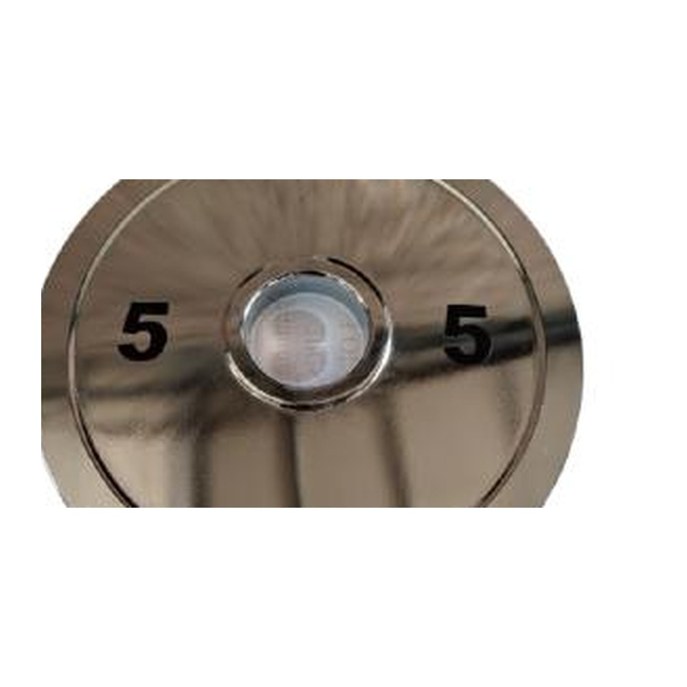D-208E cromato disco pesi attrezzatura fitness professionale