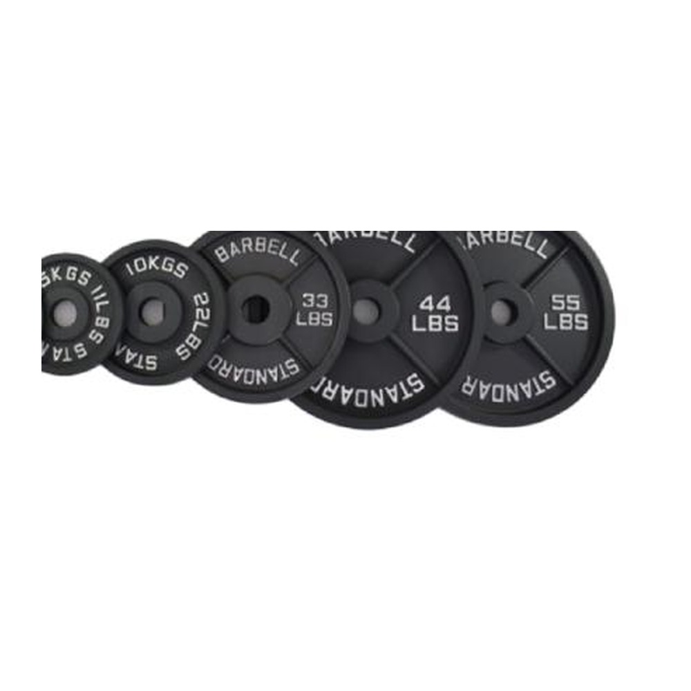 D-209C Painted Cast Iron Weight Plate