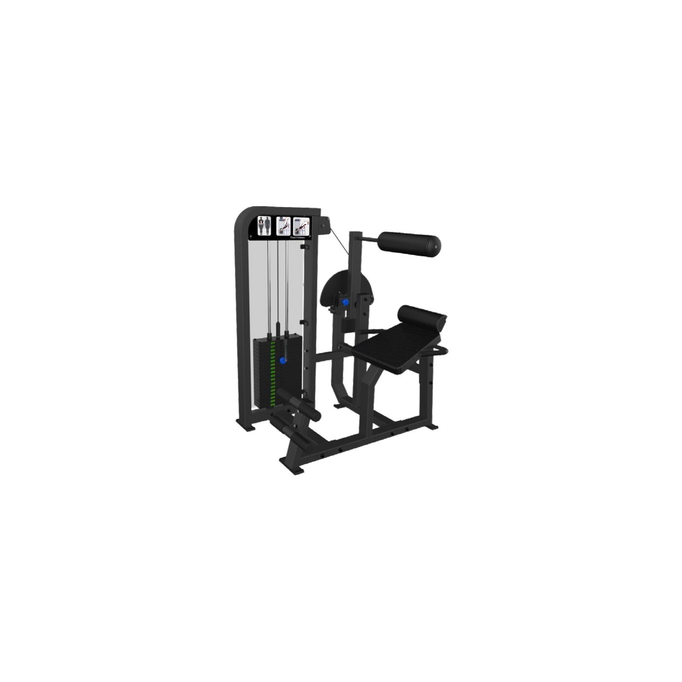 DS21 dorso extension attrezzatura fitness professionale