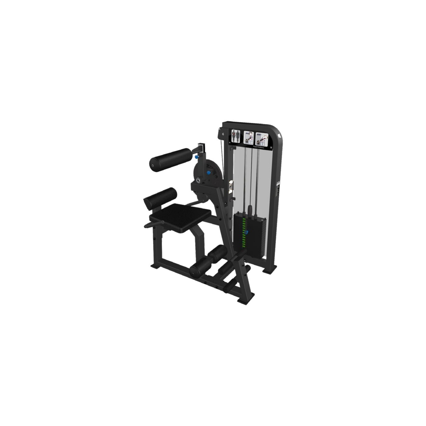 DS21A addominali Crunch/Lower dorso attrezzatura fitness professionale