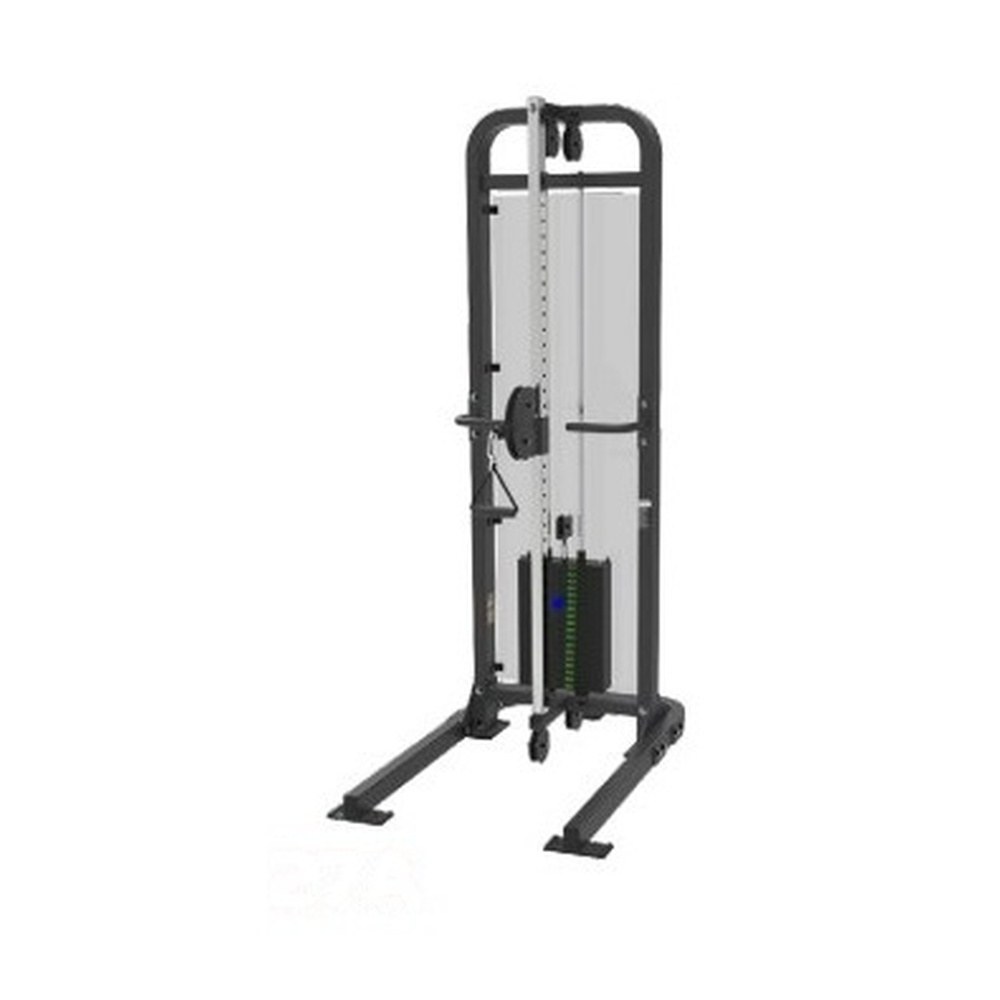 DS31 Bizepsmaschine kommerzielles Fitnessgerät