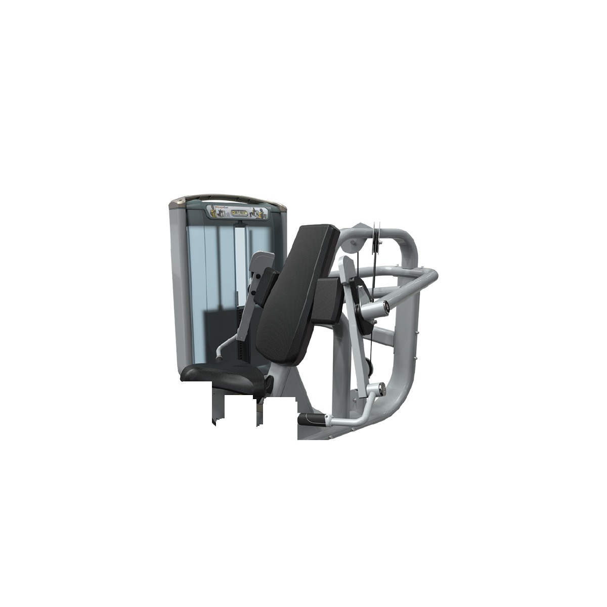 GM46 bicipiti curl attrezzatura fitness professionale