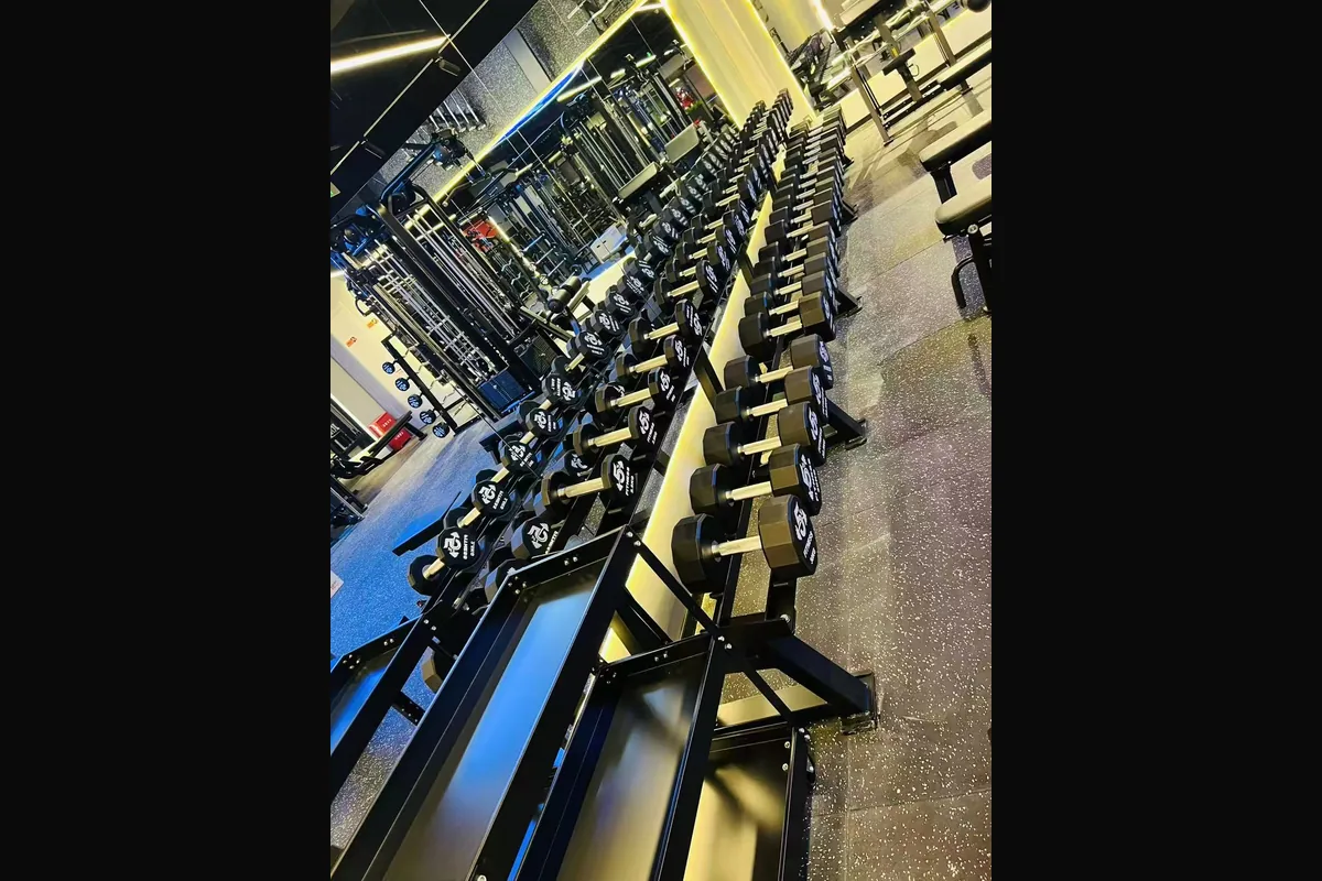 Professionele halterschijven voor commerciële fitness en krachttraining