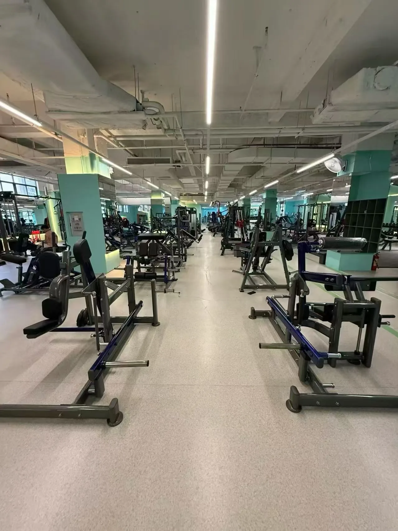 Zona de fuerza comercial con maquinas de gimnasio